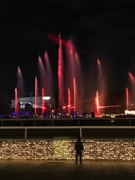 東京メガイルミに投稿された画像（2020/11/23）