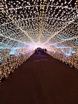 東京メガイルミに投稿された画像（2020/11/23）