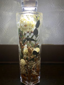 ずこうしつ〜sugamo〜に投稿された画像（2020/11/23）