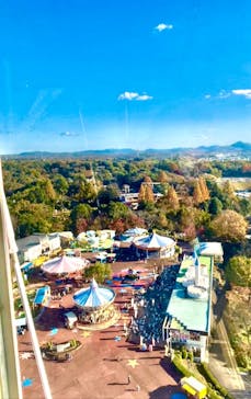 日本モンキーパークに投稿された画像（2020/11/23）