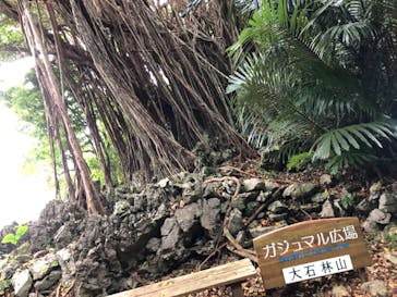 アスムイハイクスに投稿された画像（2020/11/23）