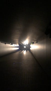 東京メガイルミに投稿された画像（2020/11/23）