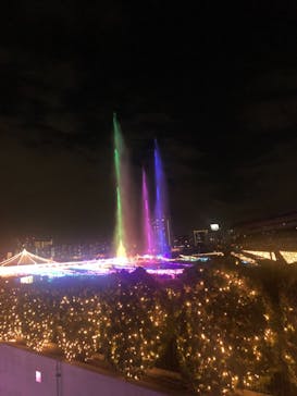 東京メガイルミに投稿された画像（2020/11/23）