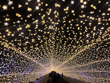 東京メガイルミに投稿された画像（2020/11/23）