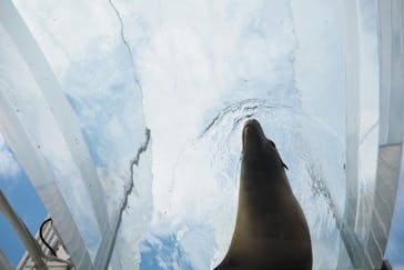 サンシャイン水族館に投稿された画像（2020/11/23）