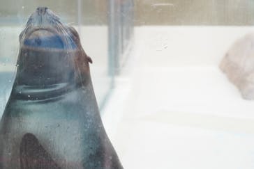 サンシャイン水族館に投稿された画像（2020/11/23）