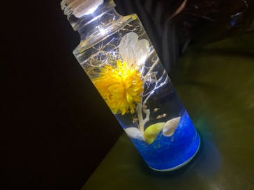 ずこうしつ〜sugamo〜に投稿された画像（2020/11/23）