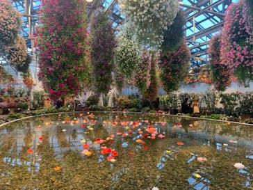 なばなの里に投稿された画像（2020/11/23）