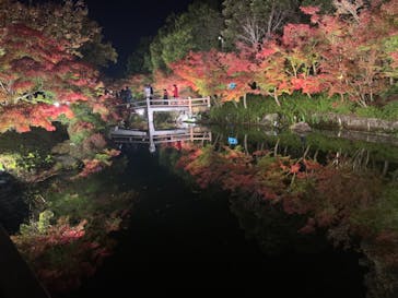 なばなの里に投稿された画像（2020/11/23）