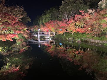 なばなの里に投稿された画像（2020/11/23）