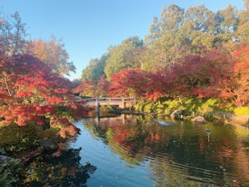 なばなの里に投稿された画像（2020/11/23）