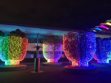 東京メガイルミに投稿された画像（2020/11/23）