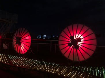 東京メガイルミに投稿された画像（2020/11/23）