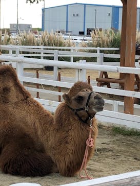 神戸どうぶつ王国に投稿された画像（2020/11/23）