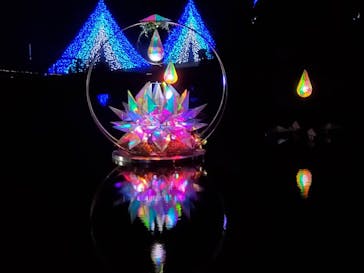 KYOTO ILLUMINATION SYNESTHESIA HILLS るり渓温泉に投稿された画像（2020/11/23）