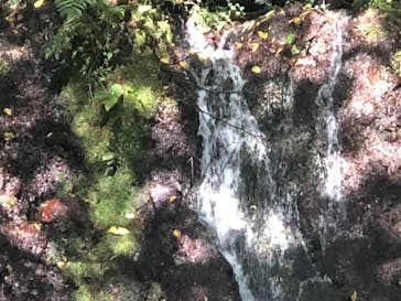 箱根湯本温泉 天成園に投稿された画像（2020/11/23）