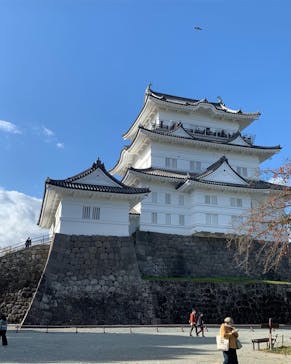 小田原城に投稿された画像（2020/11/23）