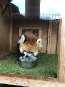 秋吉台自然動物公園 サファリランドに投稿された画像（2020/11/23）