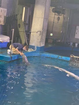 鳥羽水族館に投稿された画像（2020/11/23）