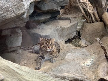 鳥羽水族館に投稿された画像（2020/11/23）
