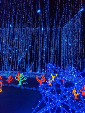 さがみ湖MORI MORIに投稿された画像（2020/11/23）