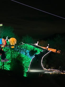 さがみ湖MORI MORIに投稿された画像（2020/11/23）