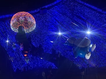 さがみ湖MORI MORIに投稿された画像（2020/11/23）