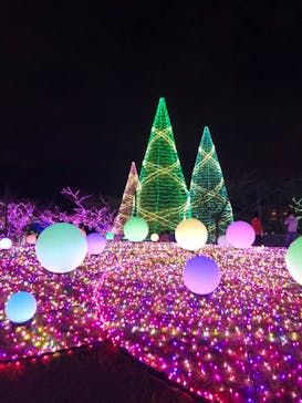 よみうりランド 遊園地に投稿された画像（2020/11/24）