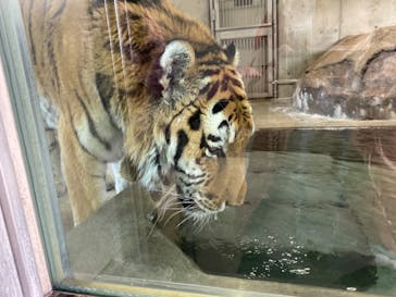 天王寺動物園に投稿された画像（2020/11/24）