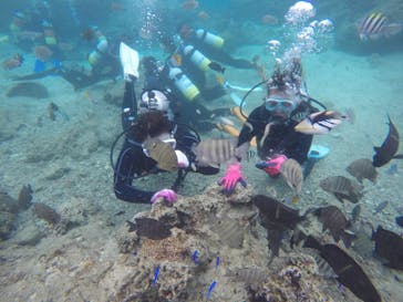 武藤潜水に投稿された画像（2020/11/24）