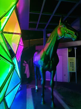 東京メガイルミに投稿された画像（2020/11/24）