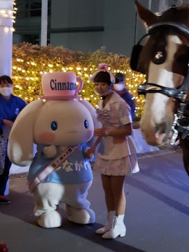 東京メガイルミに投稿された画像（2020/11/24）