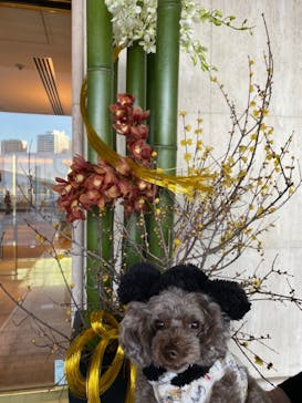 小田原城に投稿された画像（2020/11/24）