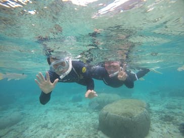 武藤潜水に投稿された画像（2020/11/24）