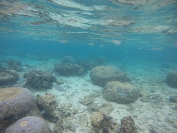 武藤潜水に投稿された画像（2020/11/24）