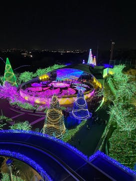 よみうりランド 遊園地に投稿された画像（2020/11/24）