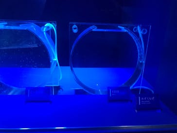 京都水族館に投稿された画像（2020/11/24）