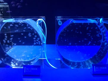 京都水族館に投稿された画像（2020/11/24）