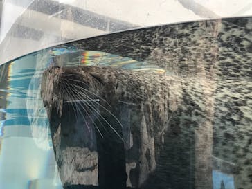 京都水族館に投稿された画像（2020/11/24）