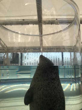 京都水族館に投稿された画像（2020/11/24）