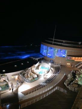 アクアワールド茨城県大洗水族館に投稿された画像（2020/11/24）