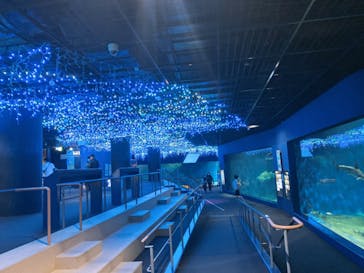 アクアワールド茨城県大洗水族館に投稿された画像（2020/11/24）