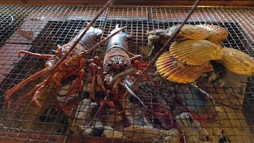 海女小屋体験施設さとうみ庵に投稿された画像（2020/11/24）