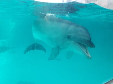 株式会社Gに投稿された画像（2020/11/24）