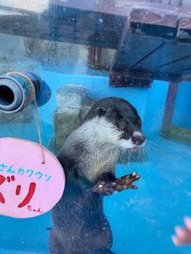 ゼロ距離水族館 伊勢シーパラダイスに投稿された画像（2020/11/24）