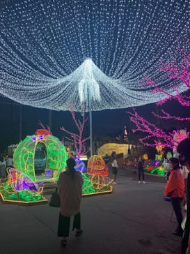 美らヤシパークオキナワ・東南植物楽園に投稿された画像（2020/11/24）