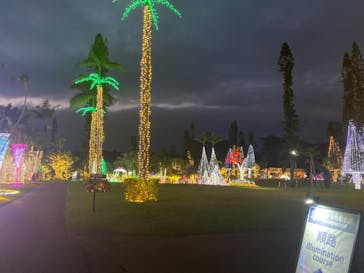 美らヤシパークオキナワ・東南植物楽園に投稿された画像（2020/11/24）