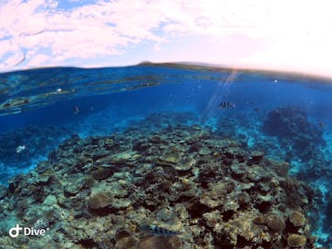 Sea World（シーワールド）に投稿された画像（2020/11/24）