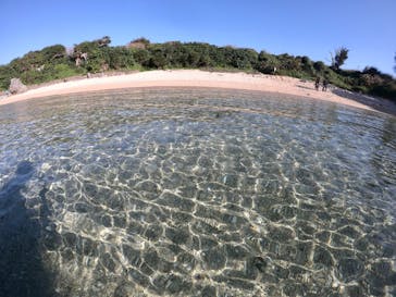 青の洞窟専門店　沖縄ダイビングショップ和に投稿された画像（2020/11/24）