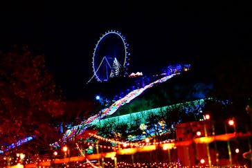 さがみ湖MORI MORIに投稿された画像（2020/11/24）